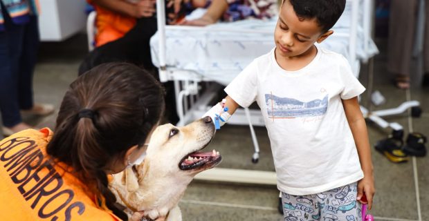 cachorro terapeura