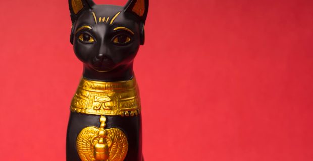 Relação dos gatos com o Egito Antigo é maior do que imaginávamos