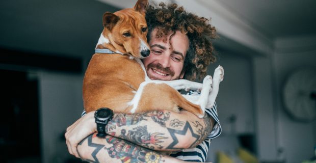 carinho cachorro