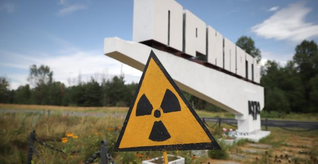 Genética de cães ao redor de Chernobyl está mudando