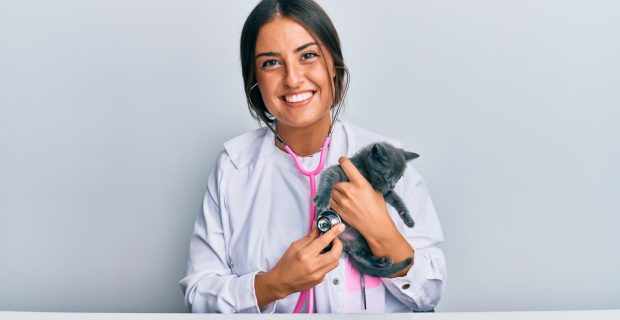 veterinária