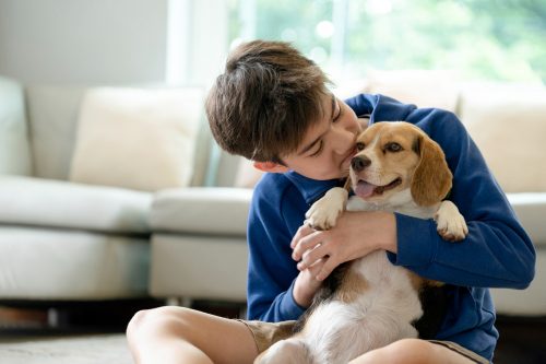 Estudo sobre o impacto de pets na saúde mental de tutores é lançado