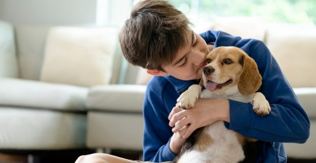 Estudo sobre o impacto de pets na saúde mental de tutores é lançado