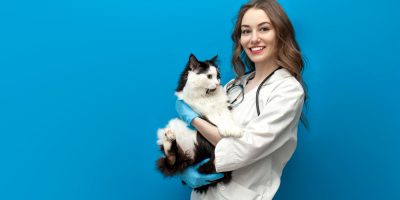 Homeopatia Veterinária: inscrições para prova de título de especialista estão abertas