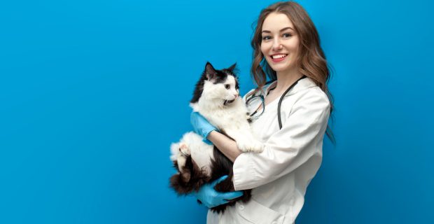 Homeopatia Veterinária: inscrições para prova de título de especialista estão abertas