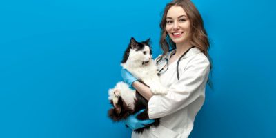 veterinária.jpg