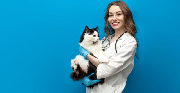 veterinária.jpg