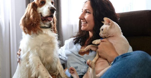 Criação da "Identidade Animal" é aprovada e será implementada