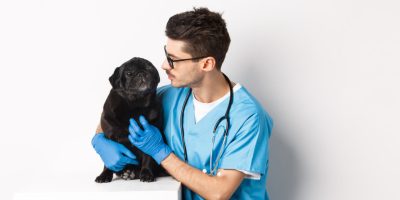 vet.jpg