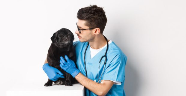 vet.jpg