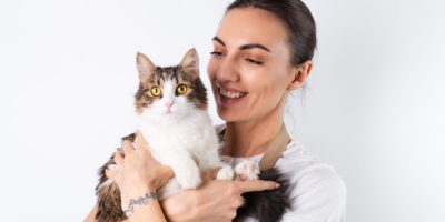 gato.jpg