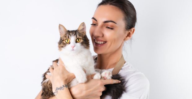 gato.jpg