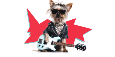 Moema recebe “Dogs of Rock” com música, diversão e pets em clima de festival