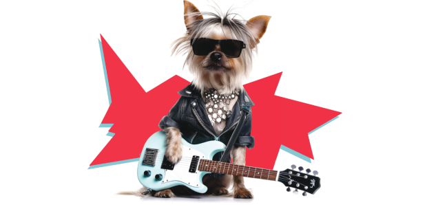 Moema recebe “Dogs of Rock” com música, diversão e pets em clima de festival