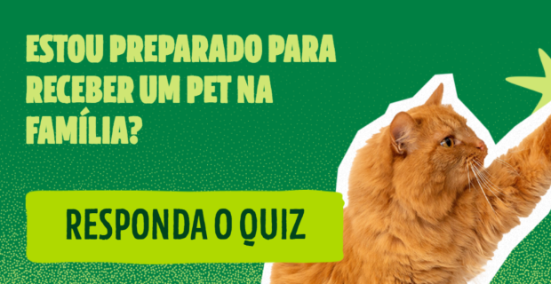 Plataforma ajuda candidatos a identificar se estão prontos para adotar um pet