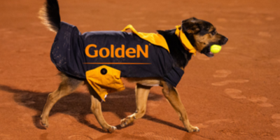 Torneio de futebol feminino alia esporte e adoção animal no estádio do Canindé