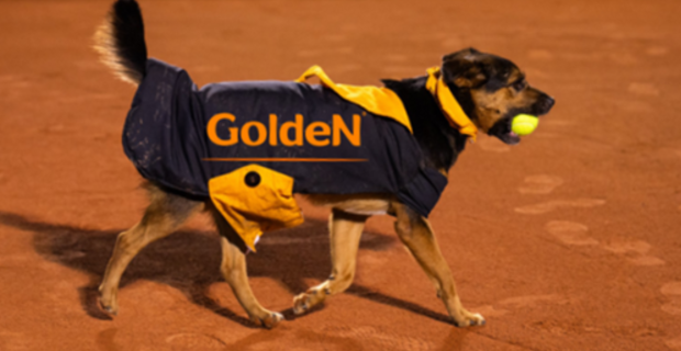 Torneio de futebol feminino alia esporte e adoção animal no estádio do Canindé