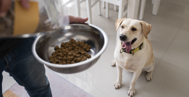 Alimento pet