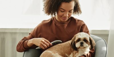 Escovar os pelos dos animais é essencial para mantê-los saudáveis