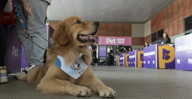 PET South America anuncia mudanças em edição que celebra os 25 anos do evento