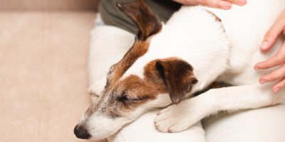 Quando o sistema imune ataca as articulações