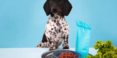 O que vem por aí no mercado pet food? Veja os segmentos mais promissores