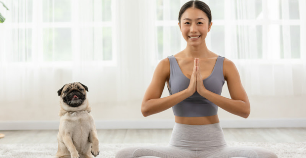 Cão e tutor yoga