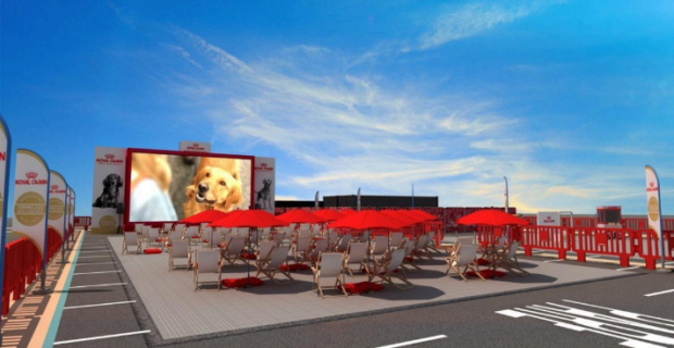 ação royal canin