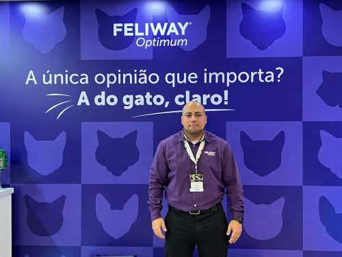 Ceva aposta em feromonioterapia com FELIWAY Optimum para medicina preventiva felina
