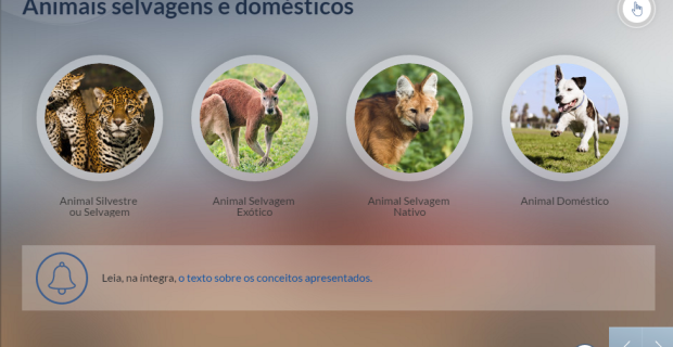 Curso Seres
