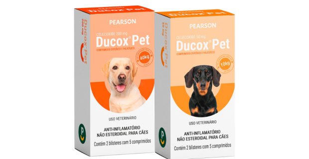 lançamento