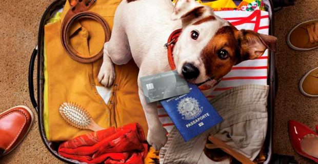 Dicas-para-cuidar-dos-pets-nas-férias-de-verão