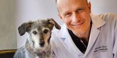 Alexandre Rossi, o Dr Pet, é o novo embaixador da Petgenoma