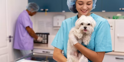 Dia do Estudante: Curso de Medicina Veterinária exige preparo emocional e disciplina