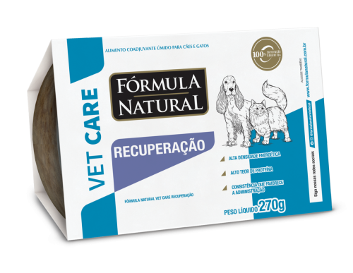 O Papel Dos Antioxidantes Naturais Na Recuperação De Cães E Gatos