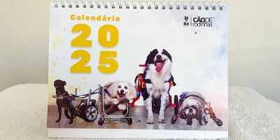 Instituto Cão de Rodinhas lança calendário 2025 para celebrar a vida dos pets com deficiência