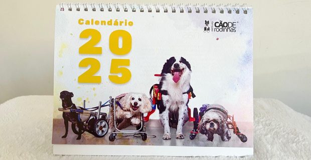 Instituto Cão de Rodinhas lança calendário 2025 para celebrar a vida dos pets com deficiência