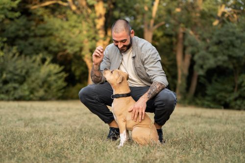 Dia do Homem: Adoção de pets por homens solteiros reflete mudanças nas normas sociais