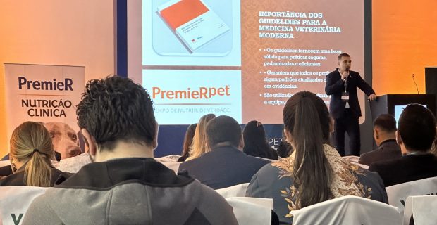lançamento guideline