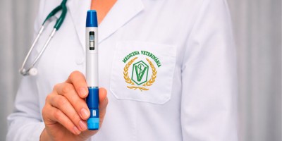 CRMV-SP e CRF-SP alertam sobre uso de “canetas emagrecedoras” na prática veterinária