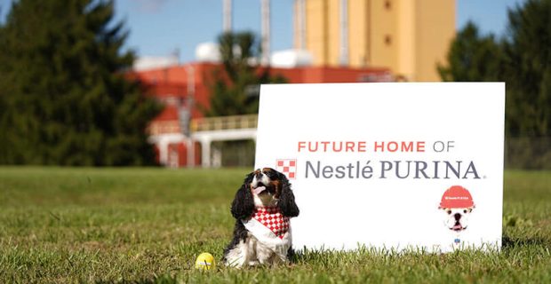 Nestle-Purina-Maddie-Grace