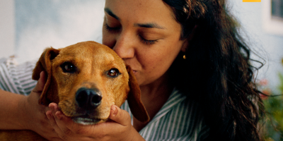 IA conecta pessoas a cães e reforça adoção responsável no Brasil