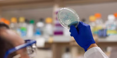 Novo dispositivo promete identificar resistência bacteriana em animais e humanos