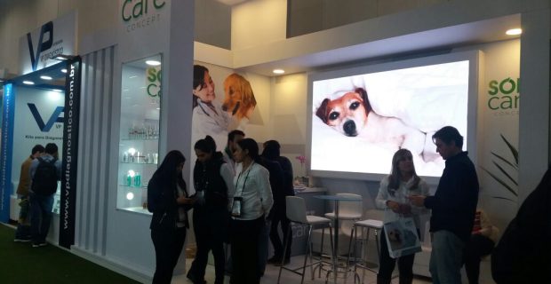 Pet Society
