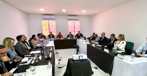 RENIÃO CFMV