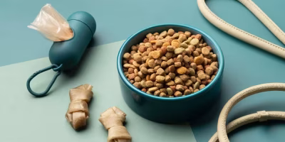 Marketplaces registram aumento de até 300% nas vendas de produtos para pets
