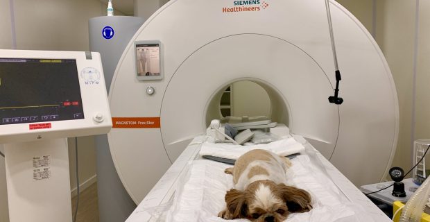 Equipamento é utilizado para o diagnóstico de doenças neurológicas de crânio, coluna vertebral, músculos, raízes nervosas, além de casos oncológicos abdominais e casos ortopédicos (Foto: divulgação)