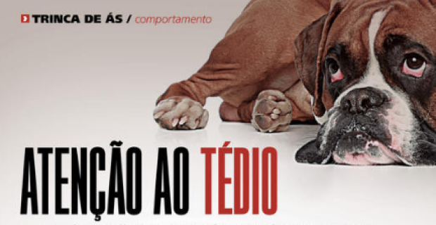 TRINCA-divulgacao
