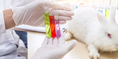 Reino Unido quer substituir teste em animais por IA