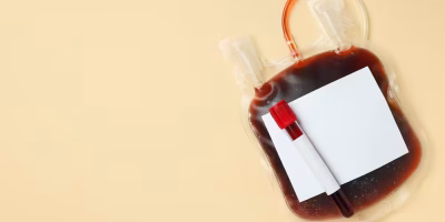 Transfusão felina: coleta clandestina reacende alerta